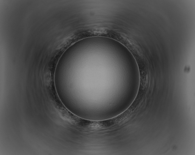 X0000093610704200710221607