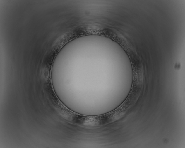 X0000093610705200710221607