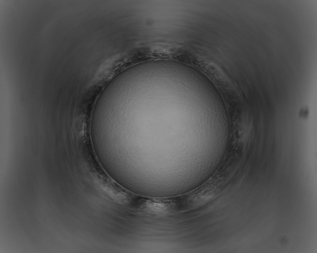X0000093610706200710221607