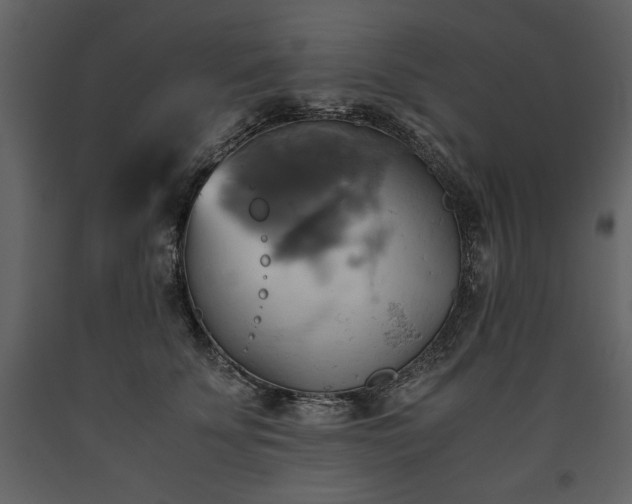 X0000093610707200710221607