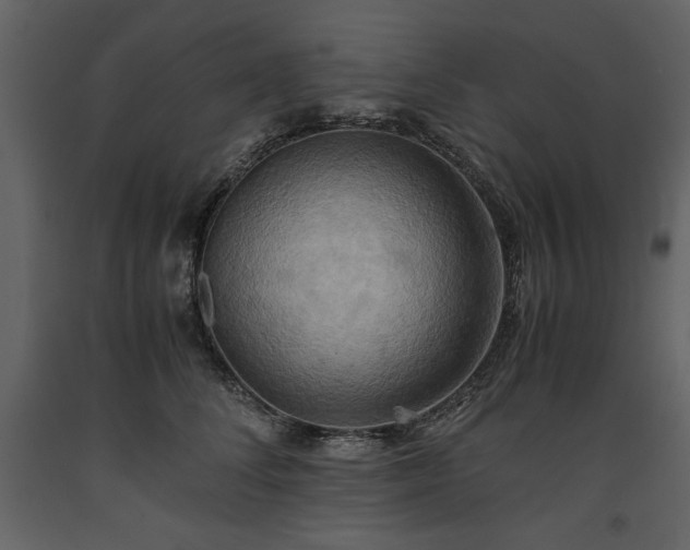 X0000093610708200710221607