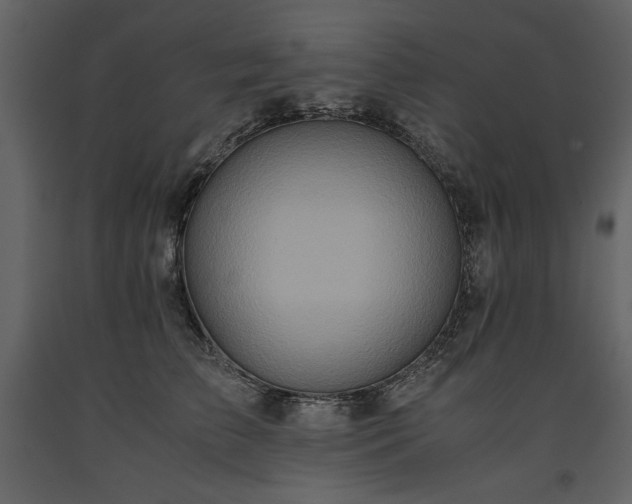 X0000093610709200710221607