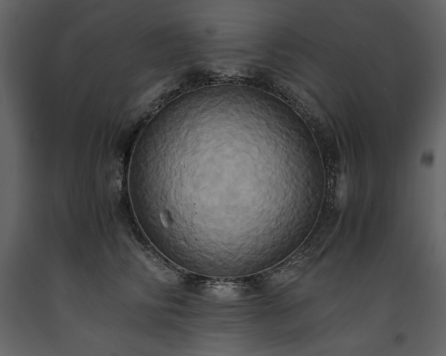 X0000093610710200710221607