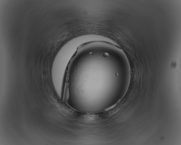 X0000093610711200710221607