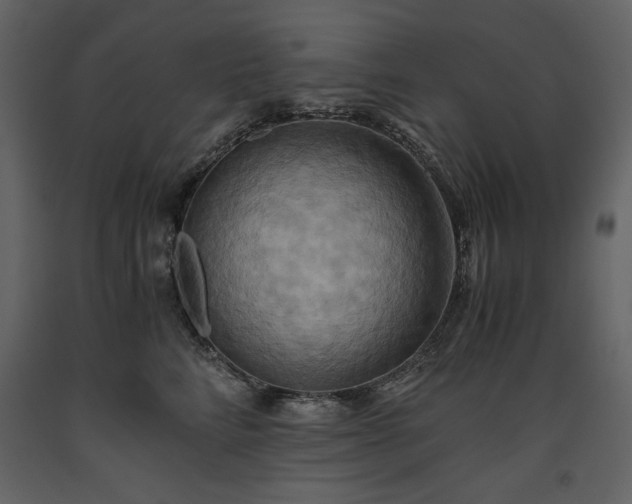 X0000093610712200710221607