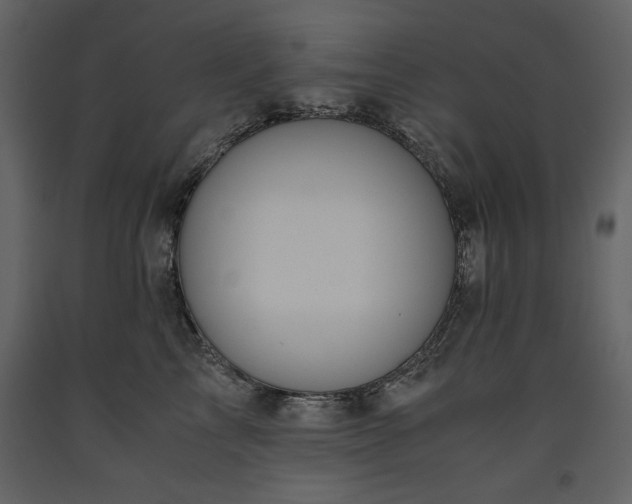 X0000093610713200710221607