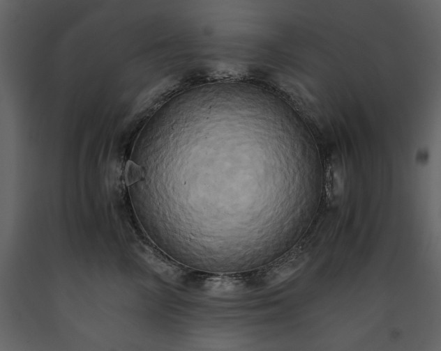X0000093610714200710221607