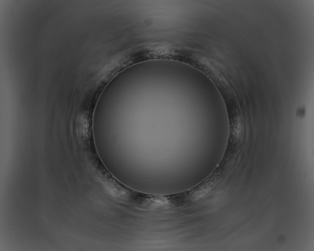 X0000093610715200710221607