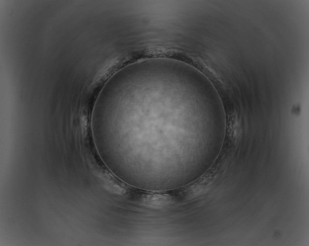 X0000093610716200710221607