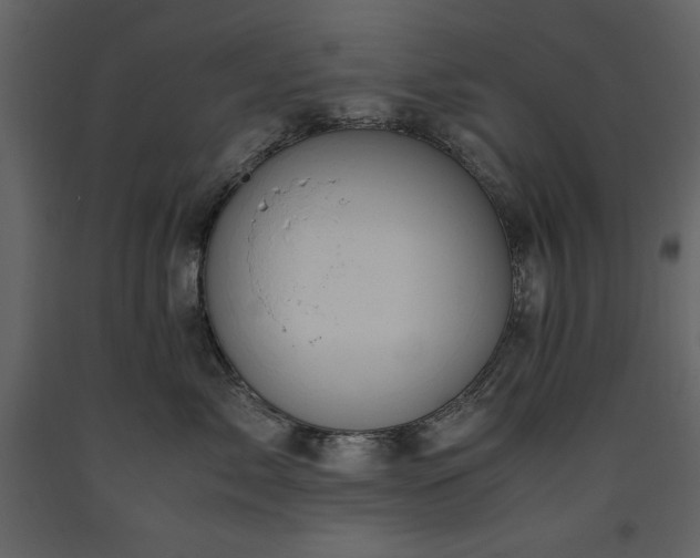 X0000093610717200710221607