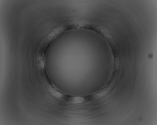 X0000093610719200710221607
