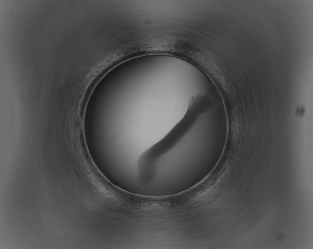 X0000093610721200710221606