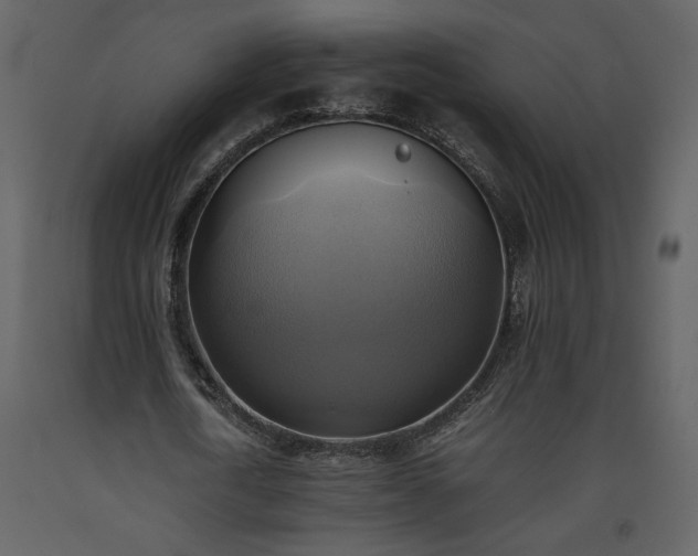 X0000093610722200710221606