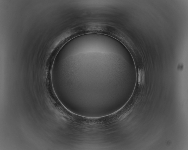 X0000093610723200710221606