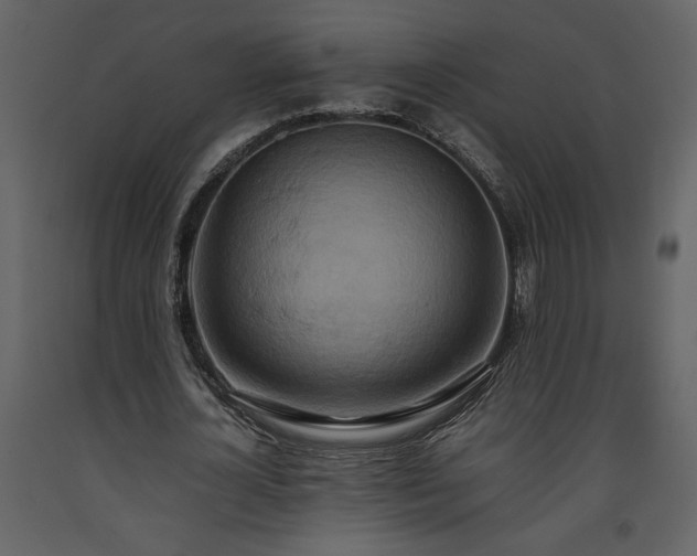 X0000093610724200710221606
