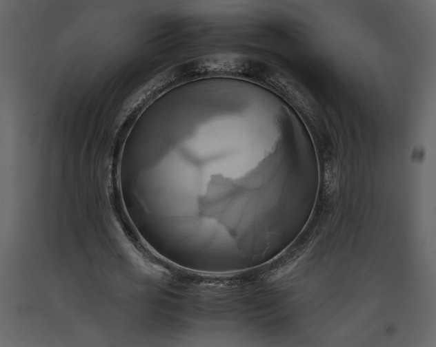 X0000093610725200710221606