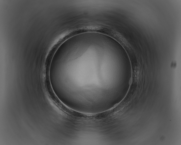X0000093610726200710221606