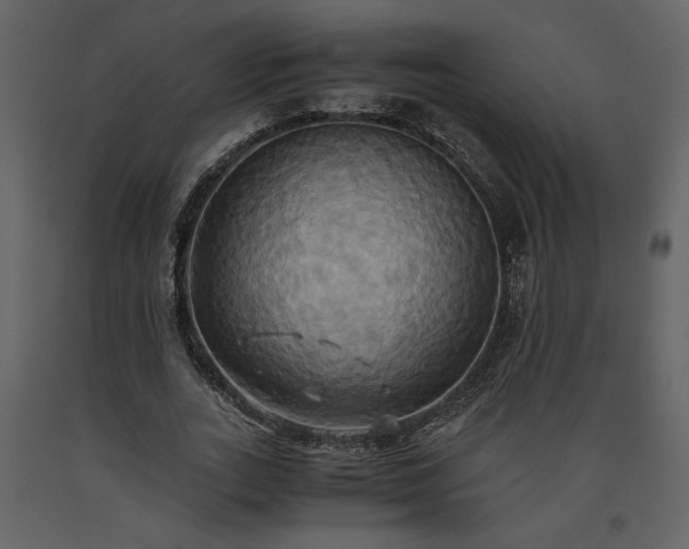 X0000093610727200710221606