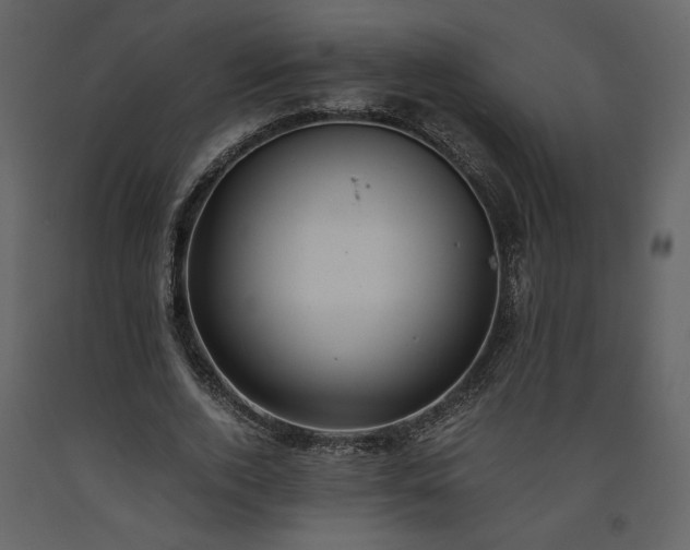 X0000093610728200710221606