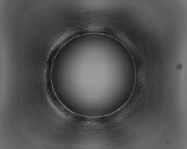 X0000093610730200710221606