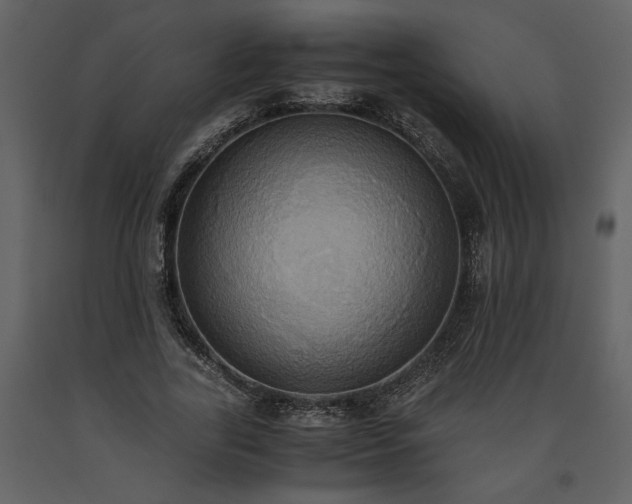 X0000093610731200710221606