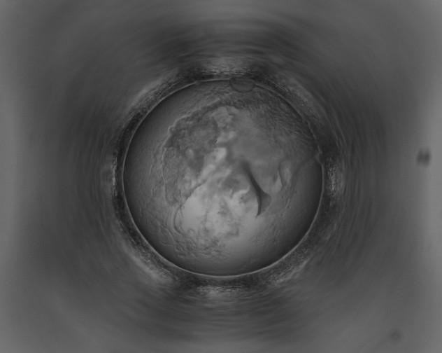 X0000093610733200710221606