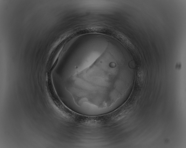 X0000093610734200710221606