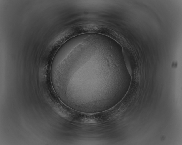 X0000093610735200710221606