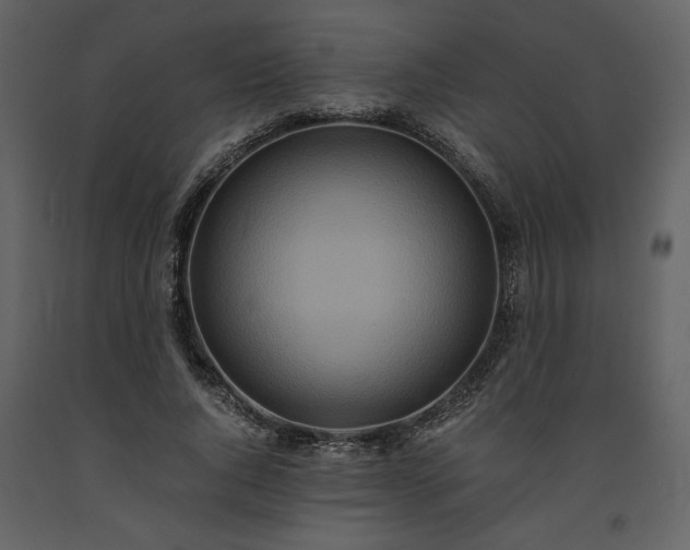 X0000093610736200710221606