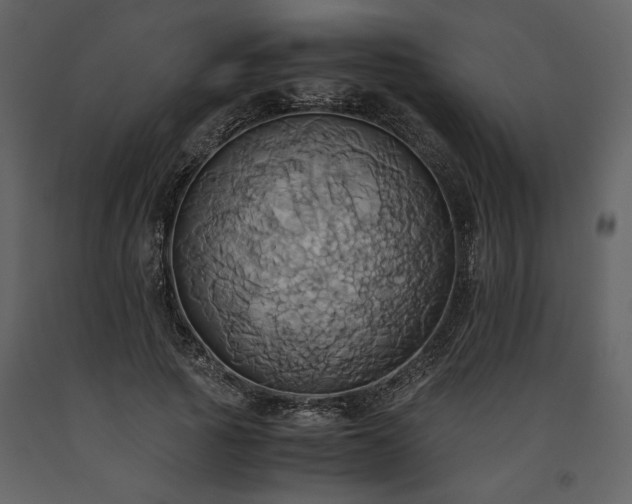 X0000093610737200710221606