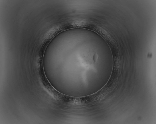 X0000093610738200710221606
