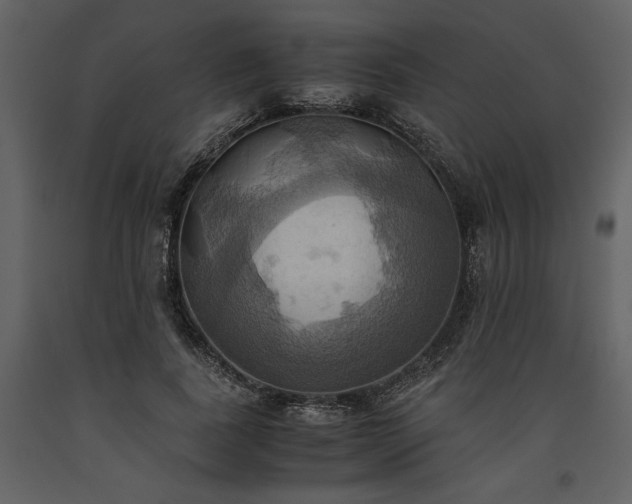 X0000093610739200710221606