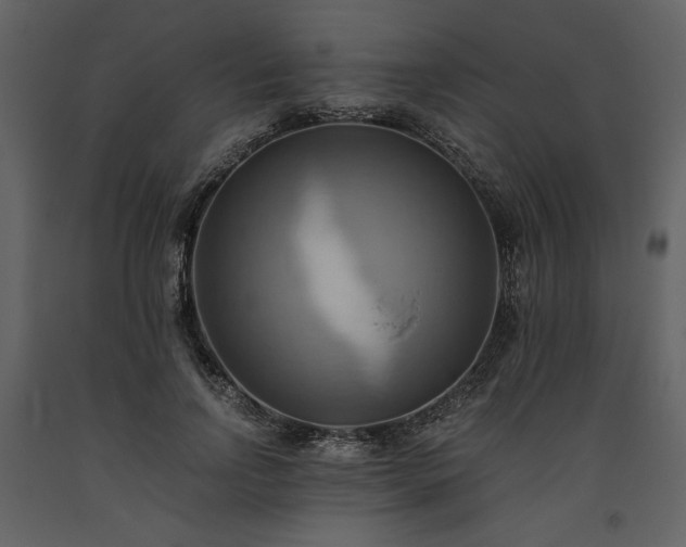 X0000093610742200710221607