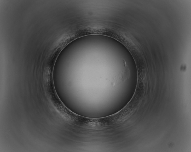 X0000093610744200710221607