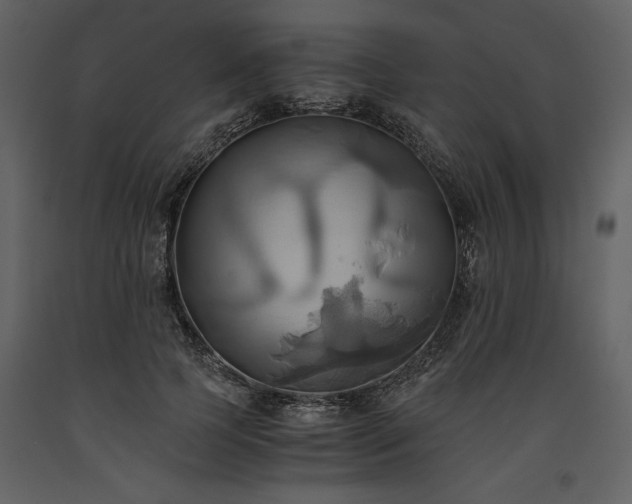 X0000093610745200710221607