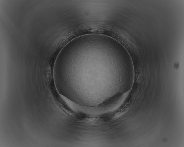 X0000093610748200710221607