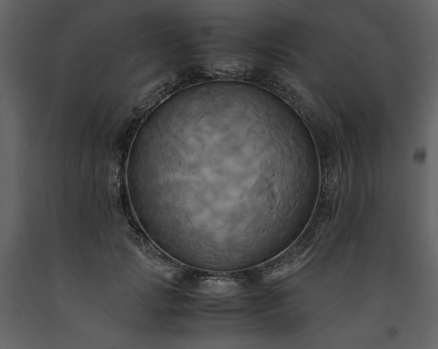 X0000093610749200710221607