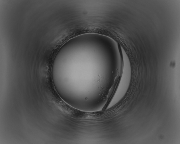 X0000093610750200710221607