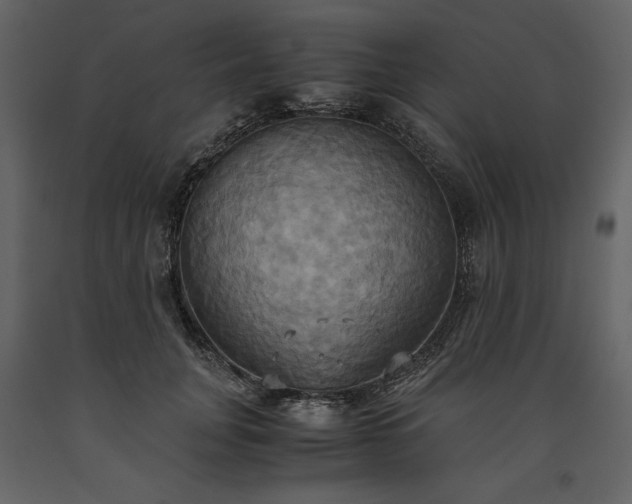 X0000093610751200710221607