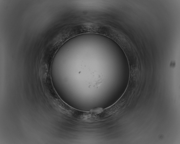 X0000093610752200710221607