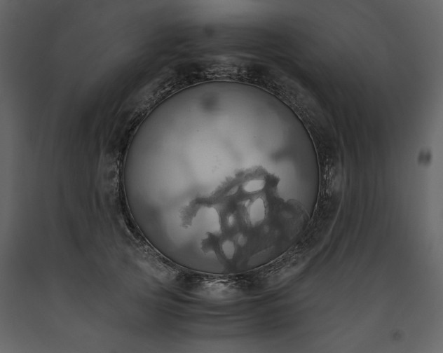 X0000093610753200710221607
