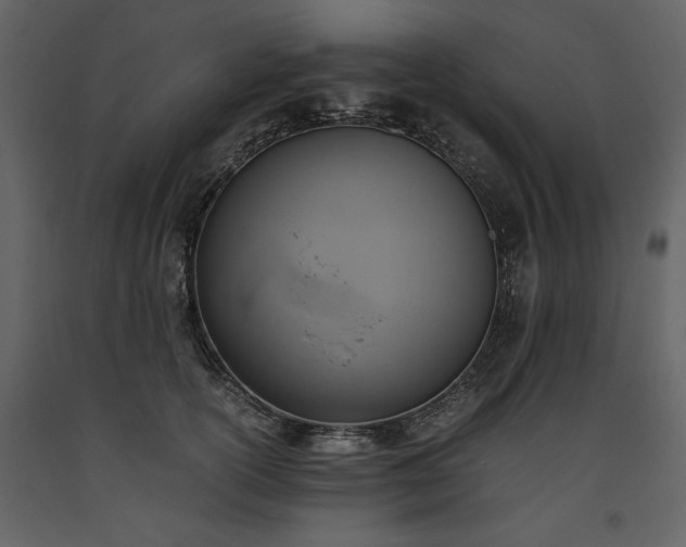 X0000093610754200710221607