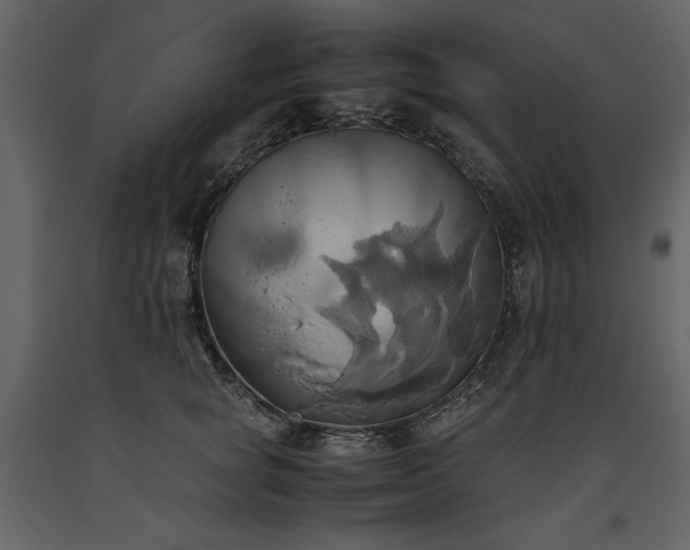 X0000093610757200710221607