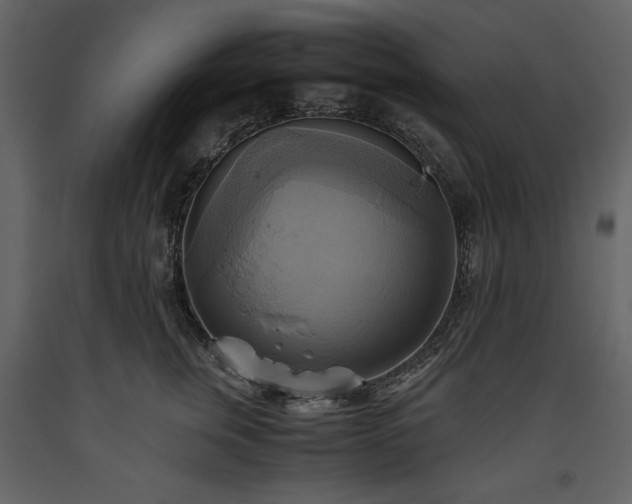 X0000093610759200710221607