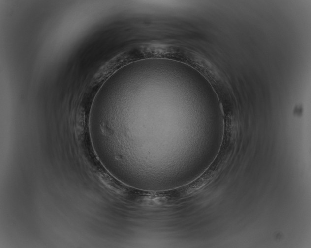 X0000093610760200710221607
