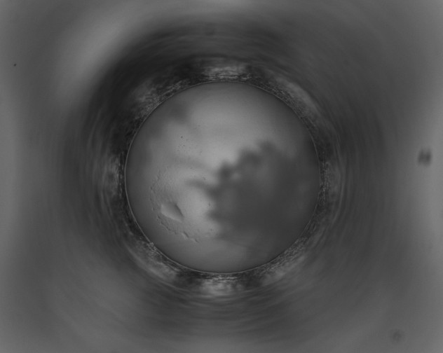 X0000093610761200710221607