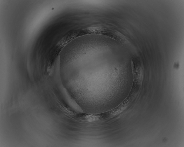 X0000093610762200710221607