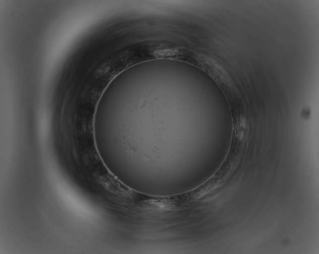 X0000093610763200710221607