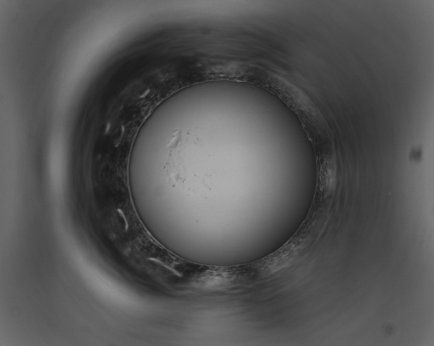 X0000093610764200710221607