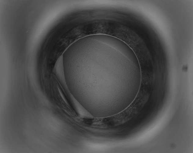 X0000093610766200710221607